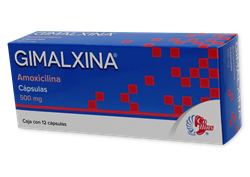 AMOXICILINA 12 CAPS 500 MG