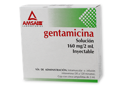 GENTAMICINA 5 AMP 160MG/2 ML
