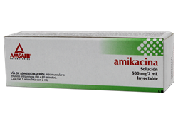 AMIKACINA 1 AMP 500MG/2 ML