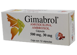AMOXICILINA/AMBROXOL 12 CAPS 500/30 MG